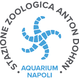 logo-aquarium-napoli