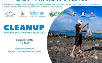 Partecipiamo a Cleanup