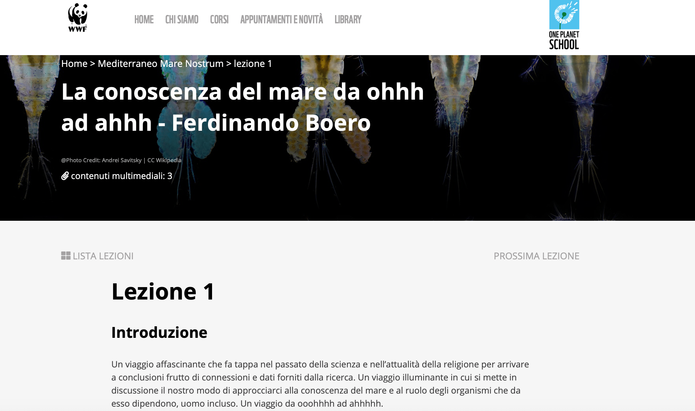 Il Presidente della Fondazione Dohrn, Prof. Ferdinando Boero, su One Planet School offre una lezione sulla comprensione del funzionamento degli ecosistemi marini da cui dipende il funzionamento dell’intero pianeta