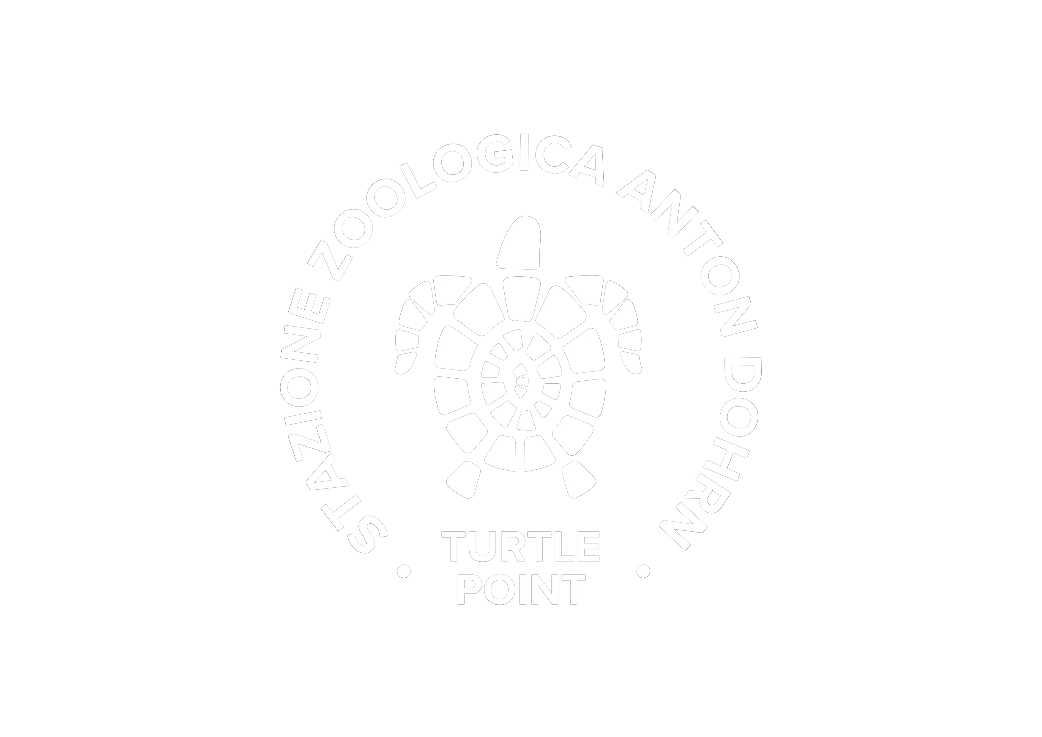 turtle_point-2-removebg