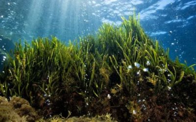 WORLD WATER DAY 2021