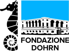 Fondazione Dohrn