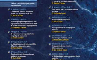 Dal 21 aprile al Museo Darwin-Dohrn seminari divulgativi a cura dei ricercatori della Stazione Zoologica Anton Dohrn