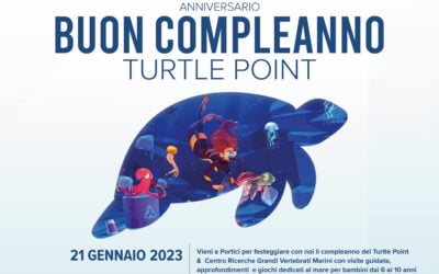 Compleanno Turtle Point, festeggia con noi!