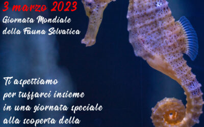 L’Aquarium per la Giornata Mondiale della Fauna Selvatica 3 marzo 2023