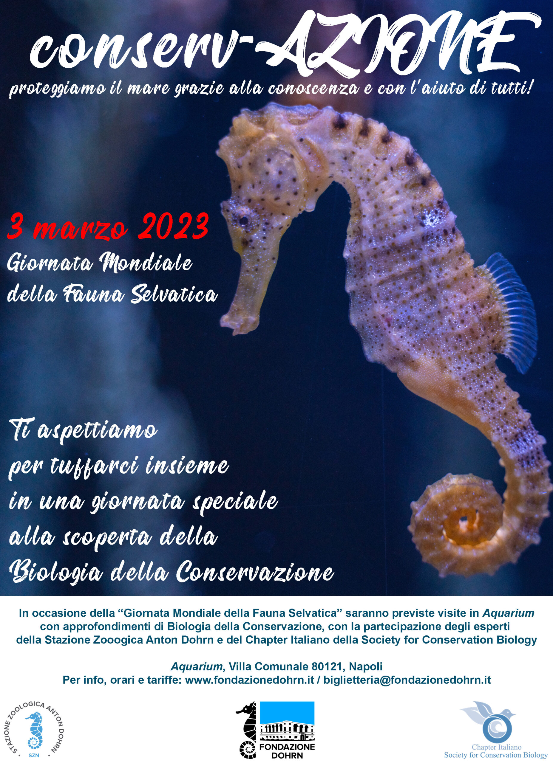 L’Aquarium per la Giornata Mondiale della Fauna Selvatica 3 marzo 2023