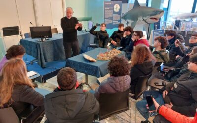 “Senato-Ambiente” cittadinanza consapevole