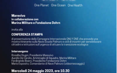ONLY ONE – ONE PLANET ONE OCEAN ONE HEALTH