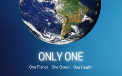Only One, la campagna per affrontare la crisi climatica