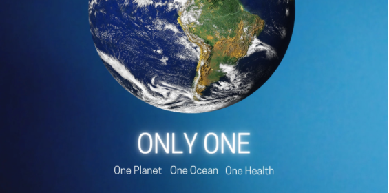 Only One, la campagna per affrontare la crisi climatica