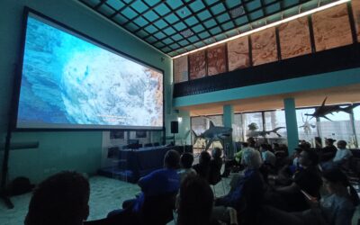 Il Cinema Suona! al Museo Darwin-Dohrn