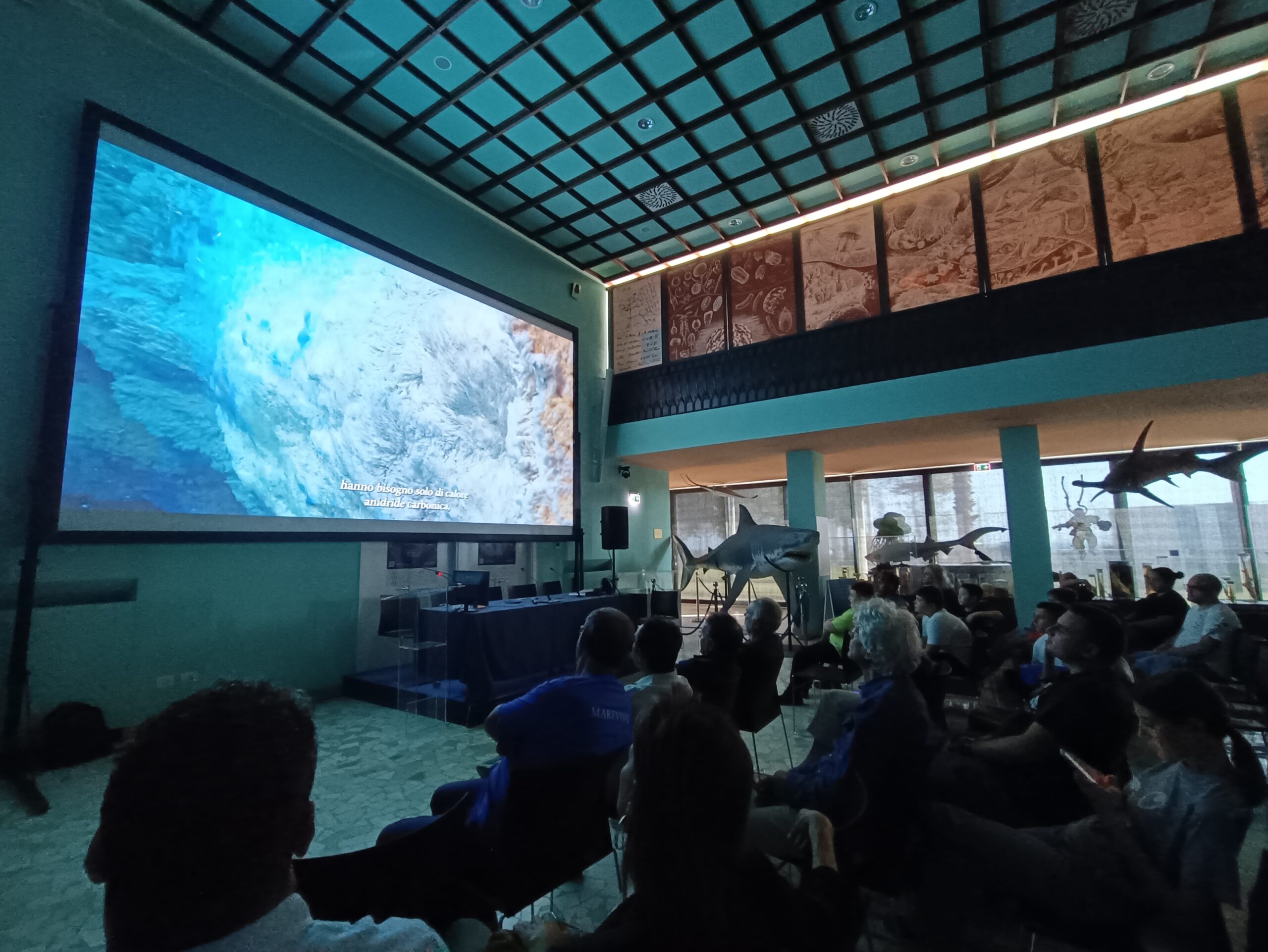 Il Cinema Suona! al Museo Darwin-Dohrn